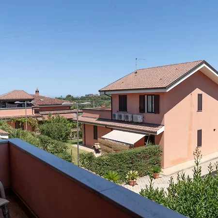 La Cicala